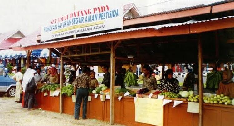 Ranah Minang Demam sayur organik