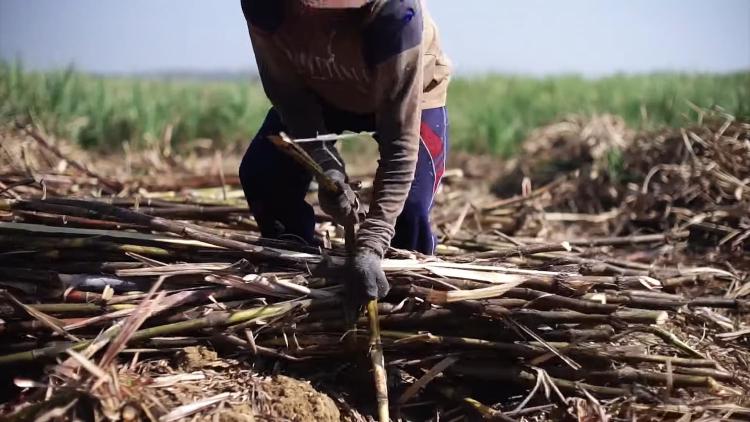 Analisis Faktor Produksi Pabrik Gula Kebon Agung Malang