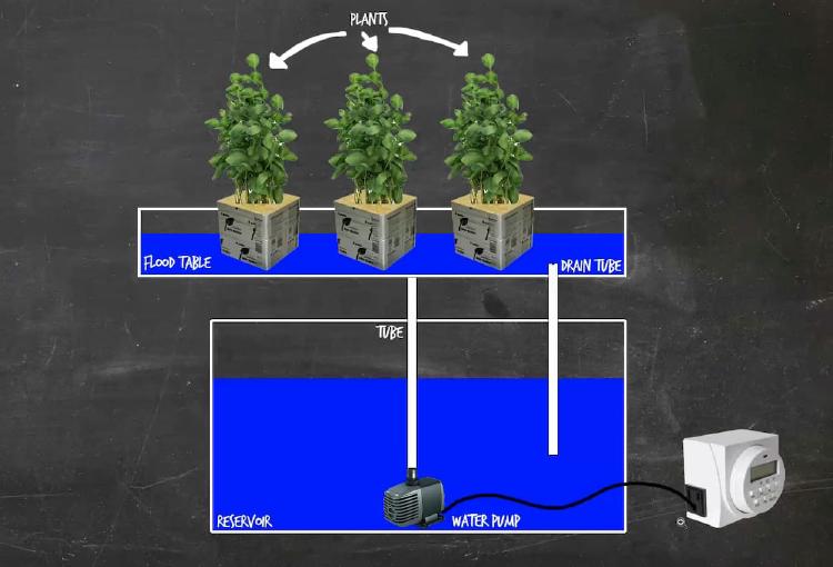 Sistem Hidroponik Pasang Surut Bertingkat EBB And FLow