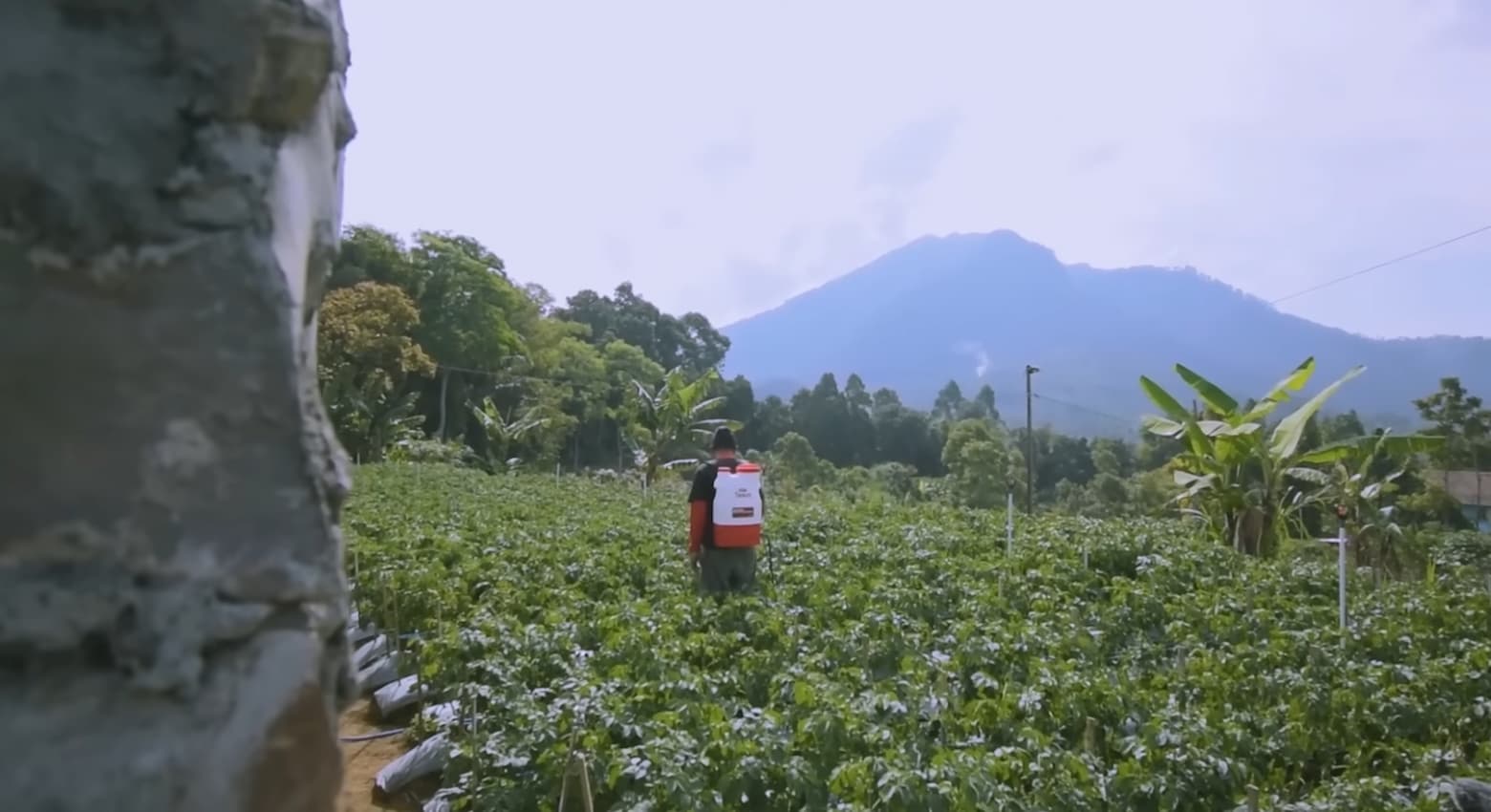 Aplikasi Teknologi Industri Pertanian Di Indonesia
